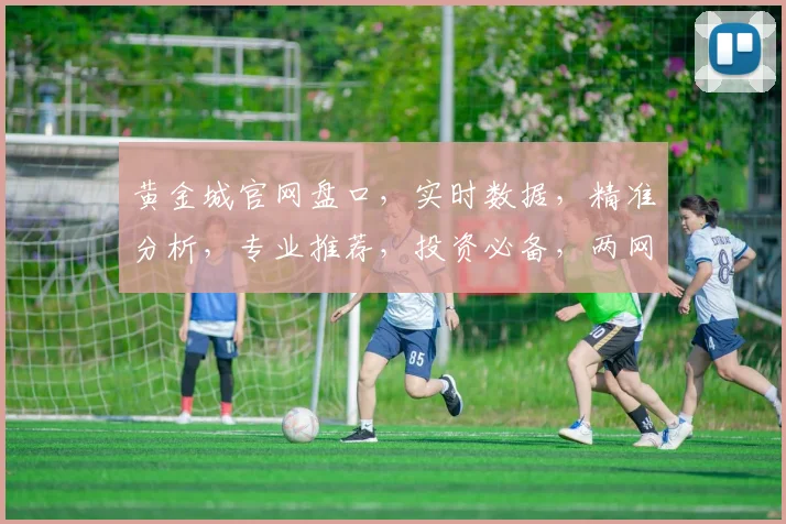 黄金城官网盘口，实时数据，精准分析，专业推荐，投资必备，两网同步，不容错过