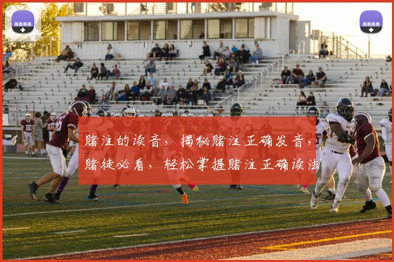 赌注的读音，揭秘赌注正确发音，赌徒必看，轻松掌握赌注正确读法，告别发音误区