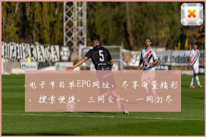 电子节目单EPG网址，尽享海量精彩，搜索便捷，三网合一，一网打尽
