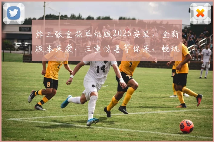 炸三张金花单机版2026安装，全新版本来袭，三重惊喜等你来，畅玩无忧