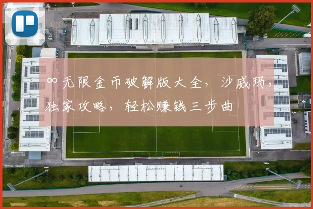 ∞无限金币破解版大全，沙威玛，独家攻略，轻松赚钱三步曲
